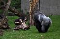 Burgers Zoo 062